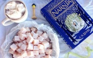 Turkish delight and Narnia book