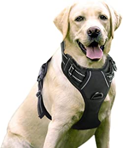 Jump Dog Harnesses