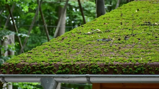 moss killers for roof