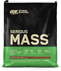 Non Whey Mass Gainers